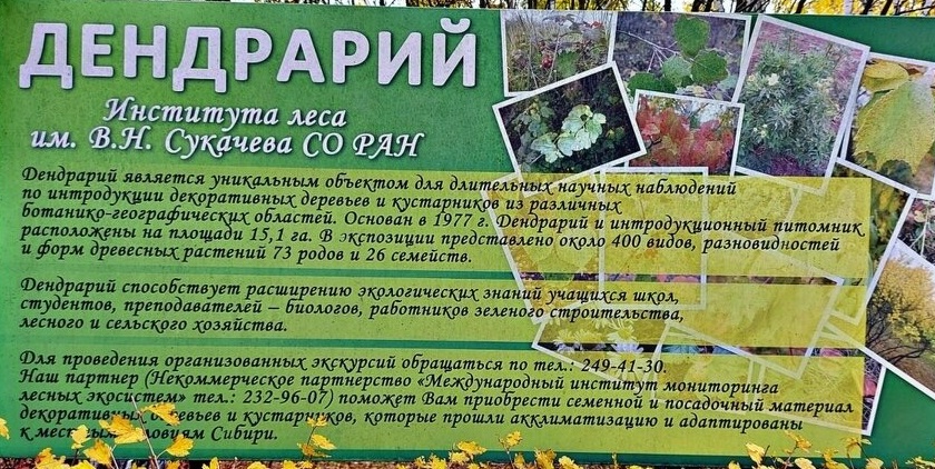 Экскурсия в Институт леса им В.Н. Сукачёва.